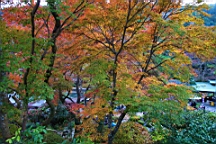 2015-11-292660.JPG