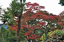 2015-11-292661.JPG