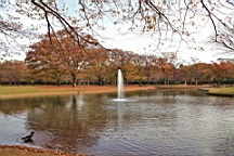 2015-11-302670.JPG