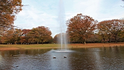 2015-11-302671.JPG