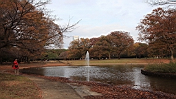 2015-11-302672.JPG