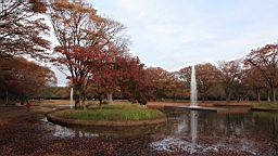 2015-11-302674.JPG