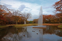 2015-11-302675.JPG