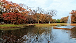 2015-11-302676.JPG