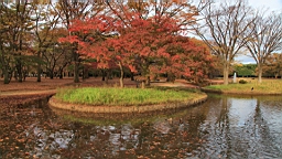 2015-11-302677.JPG