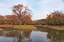 2015-11-302678.JPG