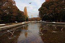 2015-11-302682.JPG