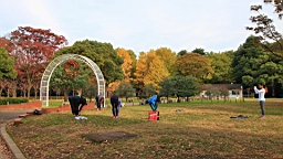 2015-11-302686.JPG