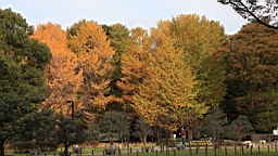 2015-11-302687.JPG