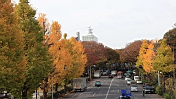 2015-11-302690.JPG