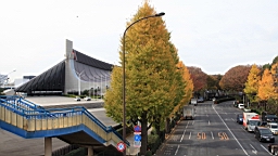 2015-11-302691.JPG