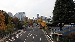 2015-11-302692.JPG