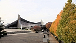 2015-11-302695.JPG