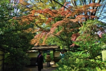2015-11-302699.JPG
