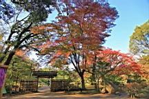 2015-11-302700.JPG