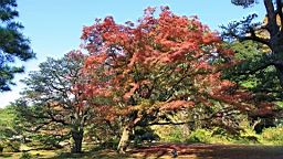 2015-11-302701.JPG