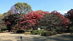 2015-11-302704.JPG