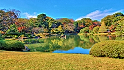 2015-11-302709.JPG