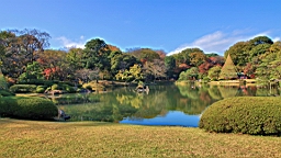 2015-11-302710.JPG