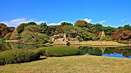 2015-11-302712.JPG