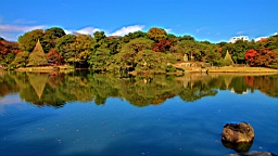 2015-11-302713.JPG