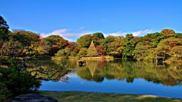 2015-11-302714.JPG