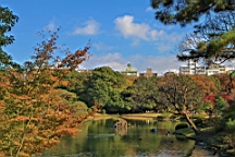 2015-11-302718.JPG