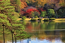 2015-11-302721.JPG