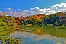 2015-11-302725.JPG