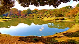 2015-11-302760.JPG