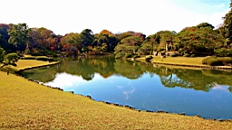 2015-11-302762.JPG