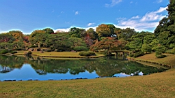 2015-11-302765.JPG