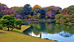 2015-11-302769.JPG