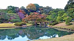 2015-11-302771.JPG