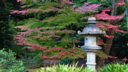 2015-11-302776.JPG