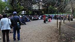 2015-11-302778.JPG