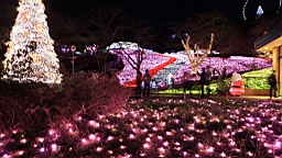 2015-11-302807.JPG