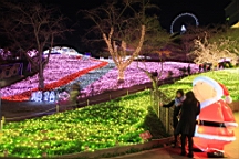 2015-11-302811.JPG