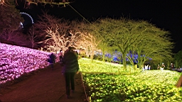 2015-11-302813.JPG