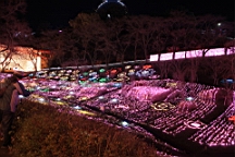 2015-11-302825.JPG