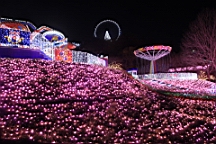 2015-11-302830.JPG