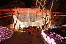 2015-11-302836.JPG
