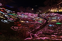 2015-11-302839.JPG