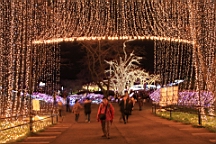 2015-11-302842.JPG