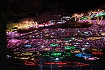 2015-11-302845.JPG