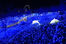 2015-11-302862.JPG
