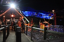 2015-11-302864.JPG