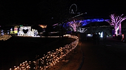 2015-11-302874.JPG