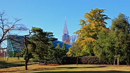 2015-12-012885.JPG
