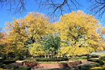 2015-12-012904.JPG